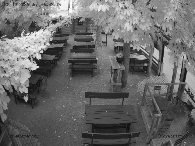 webcam image missing