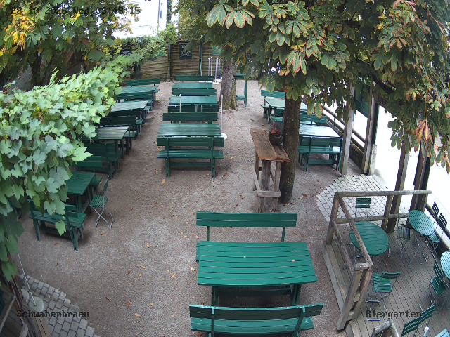 webcam image missing