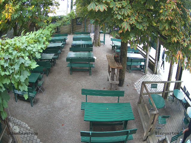 webcam image missing